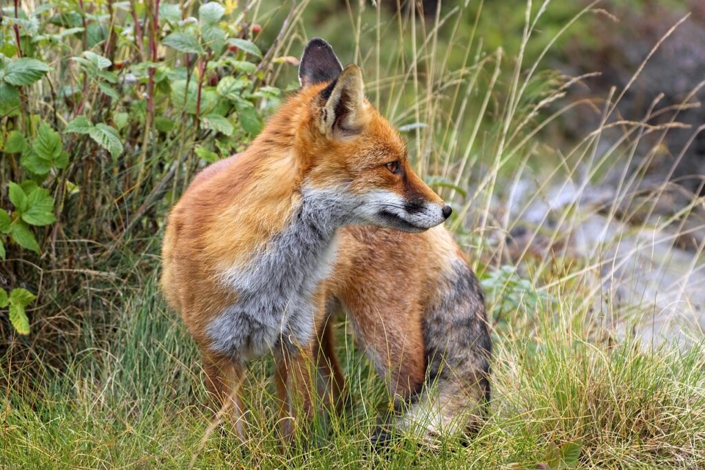 婚活アプリをやめたい理由とその後の対策は？