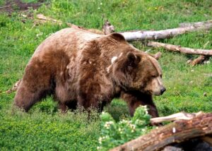 婚活アプリと出会い系の違いとは何か？