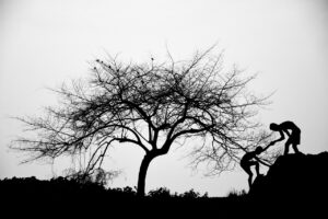 婚活の成功事例から学ぶ、効果的なアプローチとは？