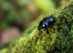 婚活アプリを同時進行で利用する場合、何人までが理想なのか？