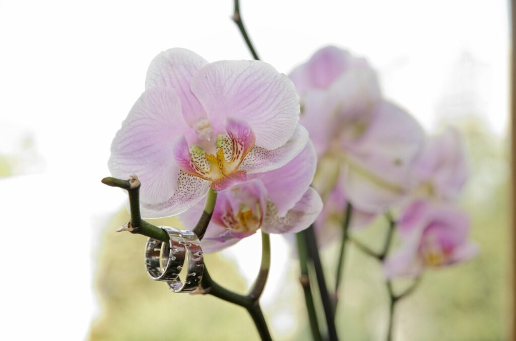 婚活ではどこまで妥協すべき？