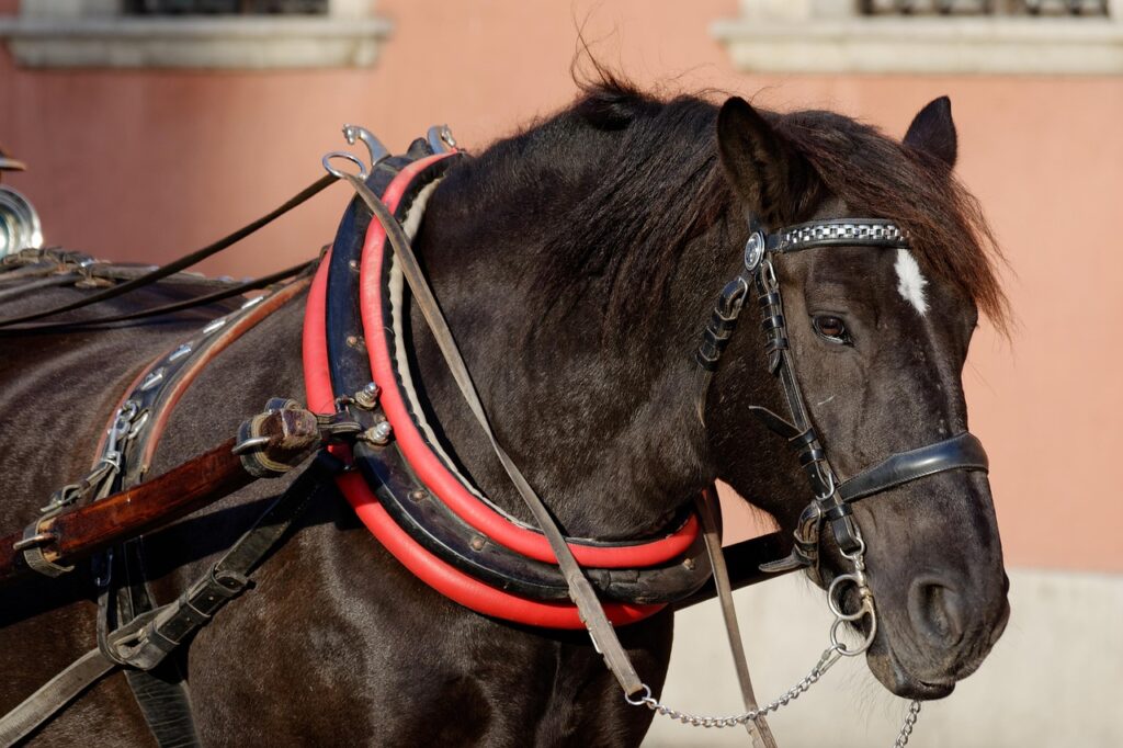 婚活アプリ利用の流れを知るためのステップは？