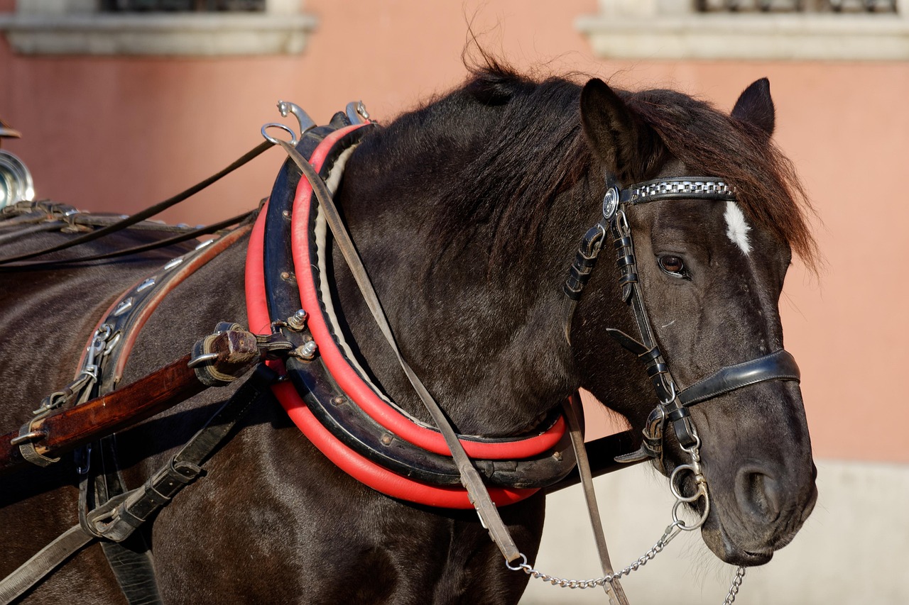 婚活アプリ利用の流れを知るためのステップは？