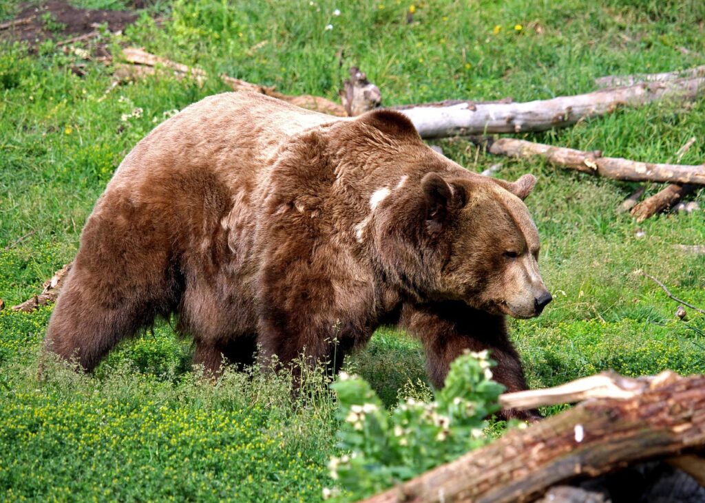 婚活アプリで外国人との出会いを成功させるには？