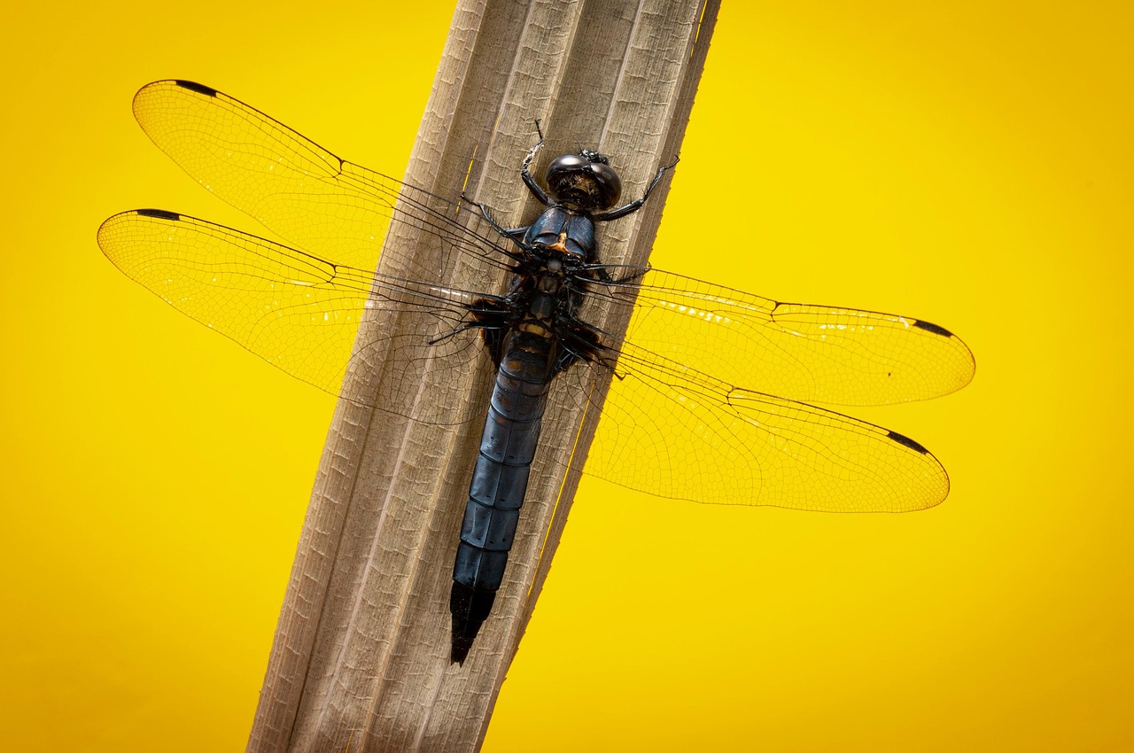 婚活アプリで初デートにおすすめの男性の服装は？