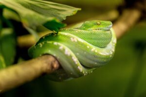 youbrideの評判はどのようなものですか？