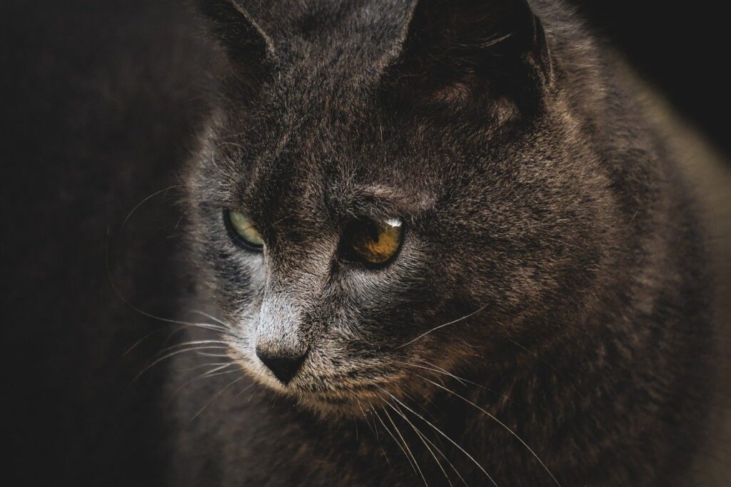 婚活プロフィールでNGな内容とはどんなものですか？