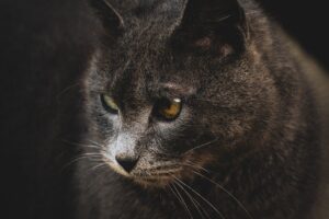 婚活プロフィールでNGな内容とはどんなものですか？