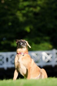 恋愛がうまくいかない原因は何ですか？